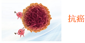 anticancer1b