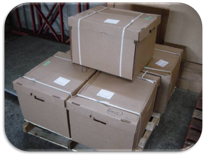 box roots