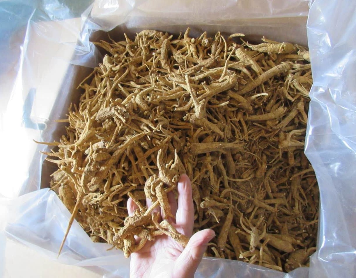 ginseng open box 1