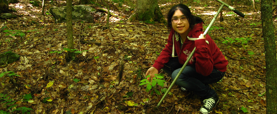 mature root with me